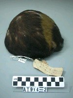 藏品(獸皮籐帽)的圖片